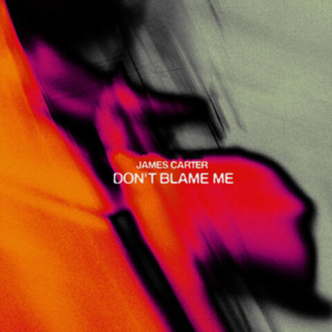 Don't Blame Me album art