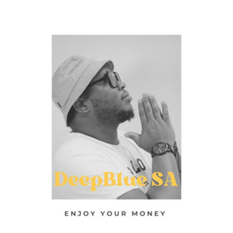 Enjoy your money album art