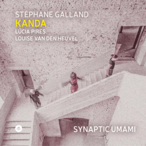 Synaptic Umami album art