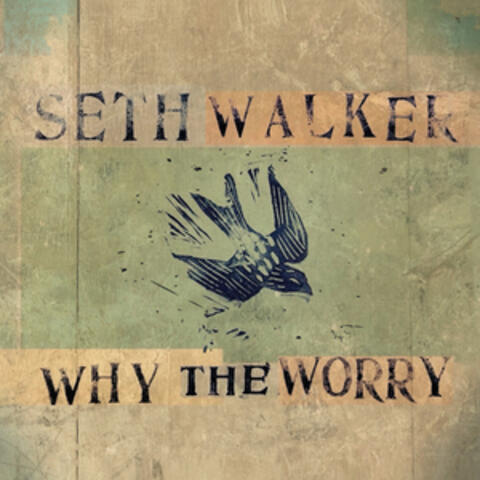 Why The Worry album art
