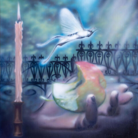 Diving For A Prize album art
