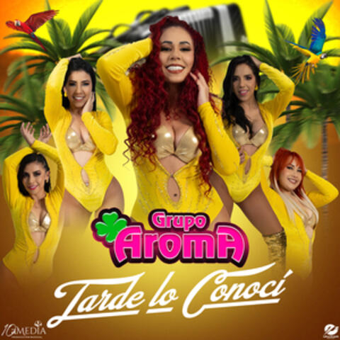 TARDE LO CONOCÍ album art