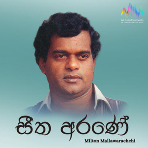Seetha Arane album art