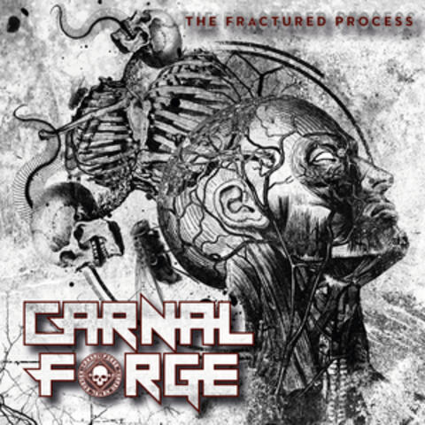 The Fractured Process album art