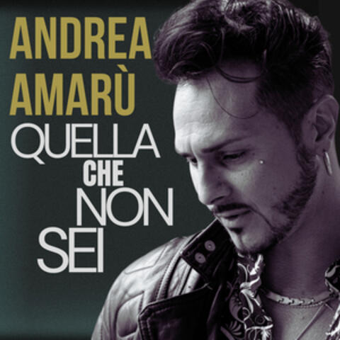 Quella che non sei album art