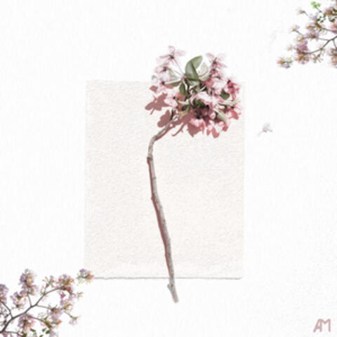Blossom album art