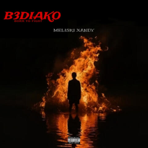 BEDIAKO album art