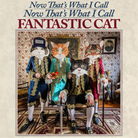 Now That's What I Call Now That's What I Call Fantastic Cat album art