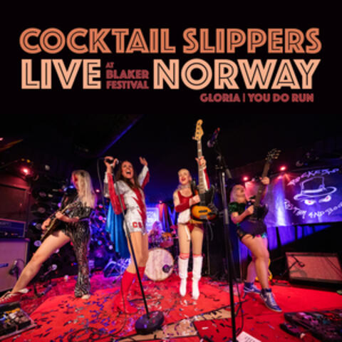 Live at Blaker Festival Norway album art
