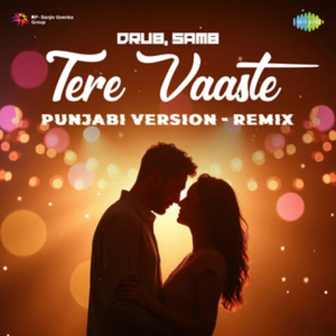 Tere Vaaste Punjabi Version album art