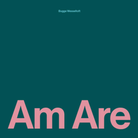 Am Are album art