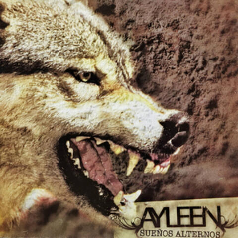 Sueños Alternos album art