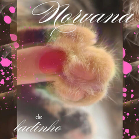 De Ladinho album art