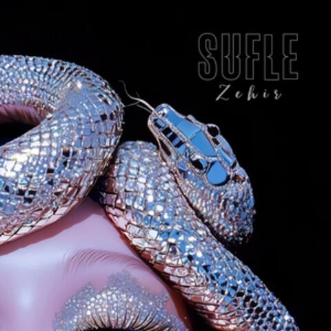 Zehir album art