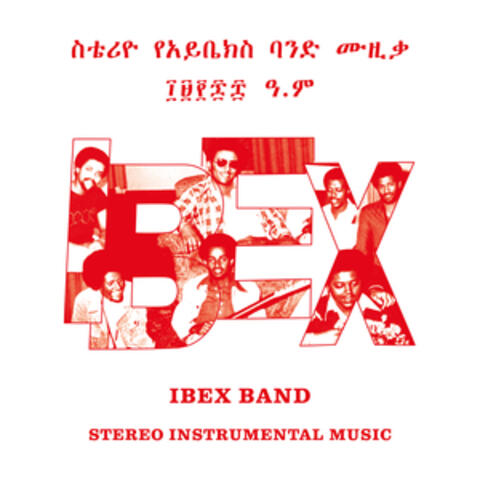 Stereo Instrumental Music album art