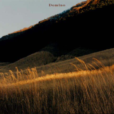 Domino feat.寺久保伶矢 album art