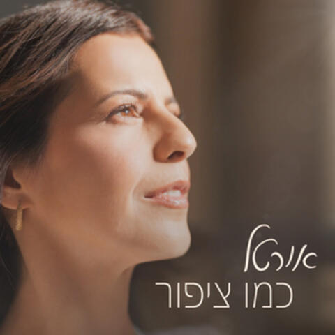 כמו ציפור album art