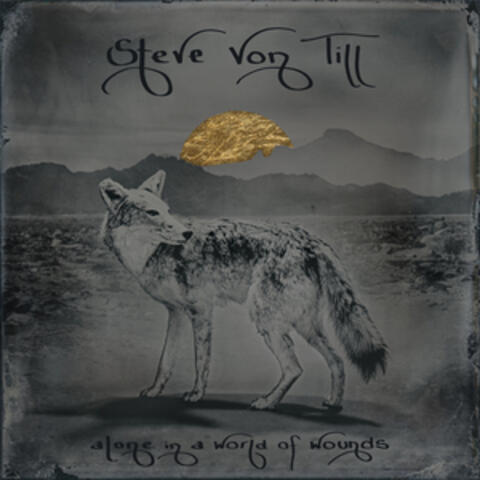 Alone in a World of Wounds album art