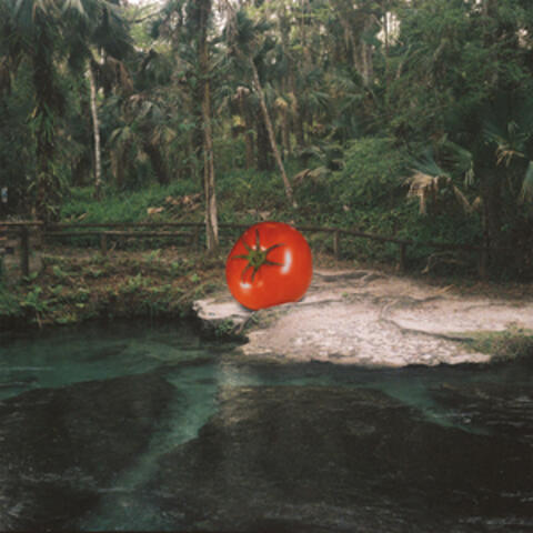 I Just Can't Wait To Die album art