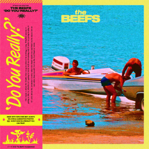 Do You Really album art