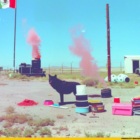 Corazón Migrante album art