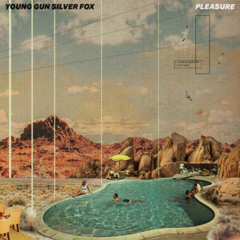 Pleasure album art
