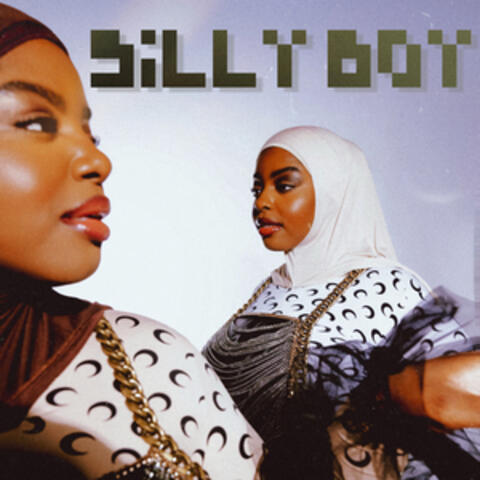 Silly Boy album art