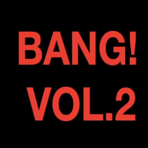 VOL.2 album art
