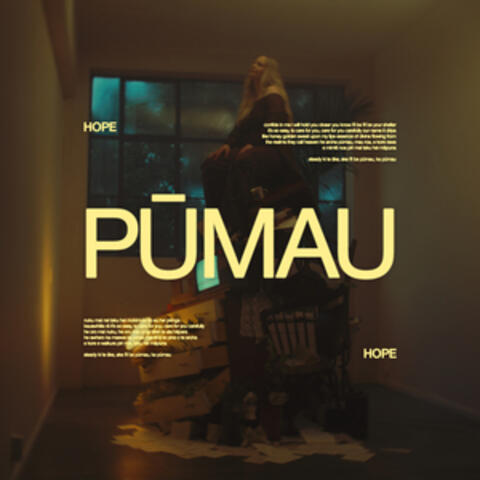 pūmau album art