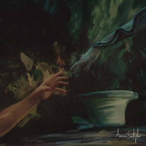 AVARICIA album art