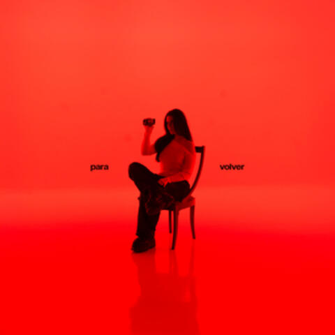 para volver album art