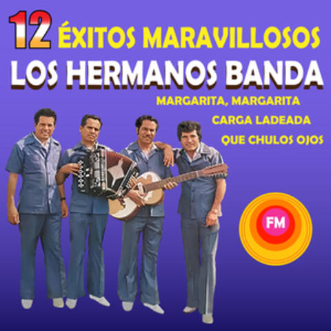 12 Éxitos Maravillosos album art