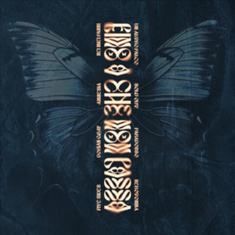 FINO A CHE NON PASSA album art