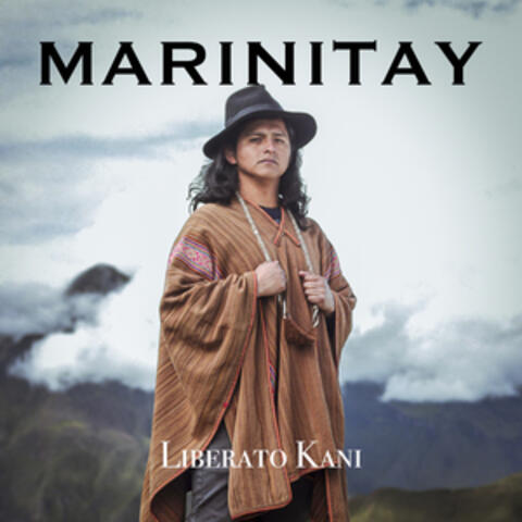 Marinitay album art