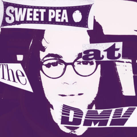 Sweet Pea at the DMV album art