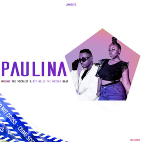 Paulina album art