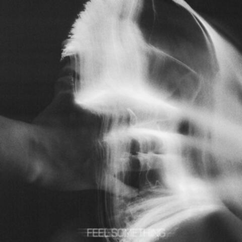 Feel Something album art