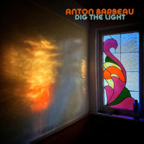 Dig The Light album art