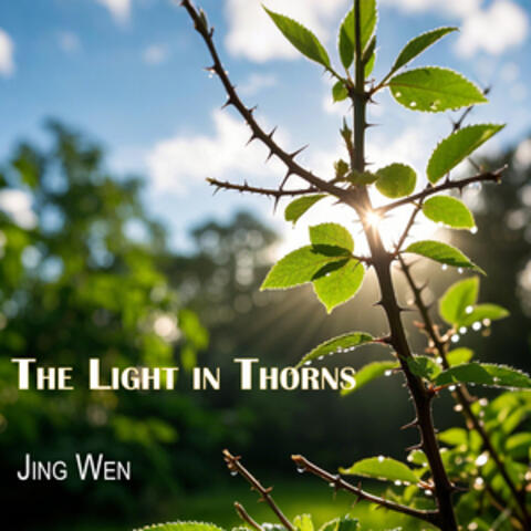 The Light in Thorns album art