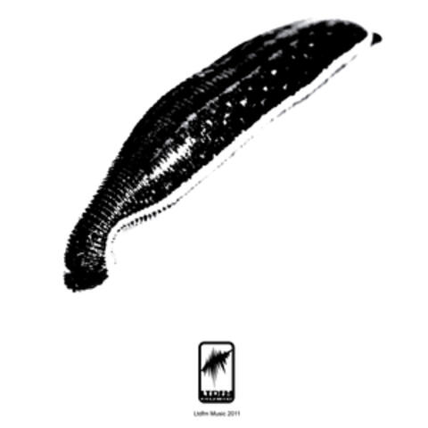 Za Internet Pijavice album art