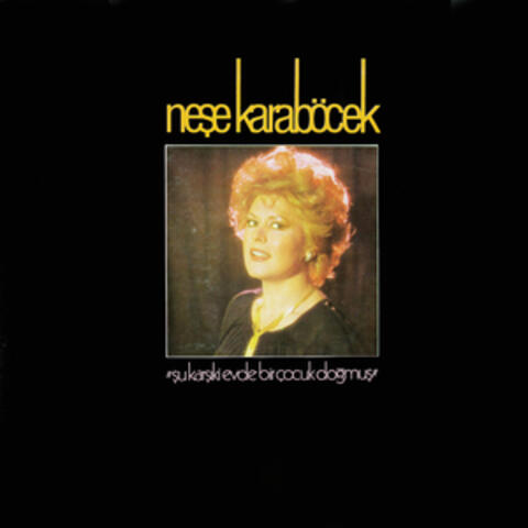 Şu Karşıki Evde Bir Çocuk Doğmuş album art