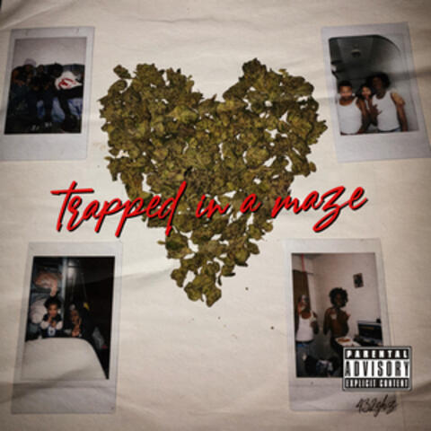 Trapped in a maze album art