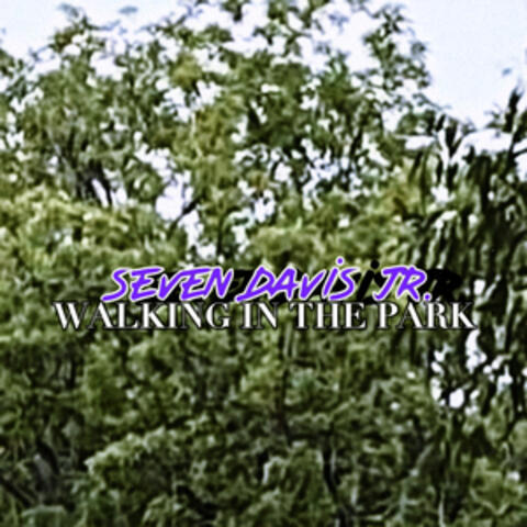 Walking In The Park album art