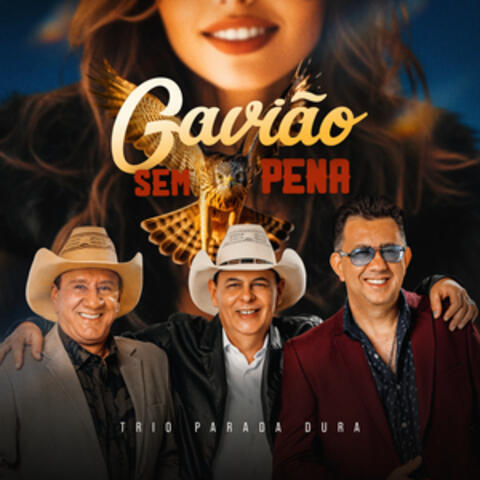 Gavião Sem Pena album art