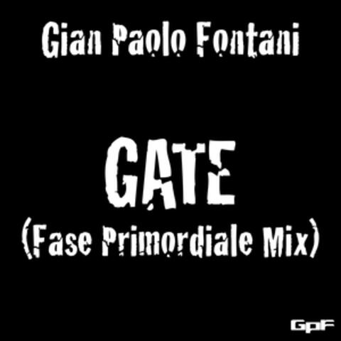 Gate album art