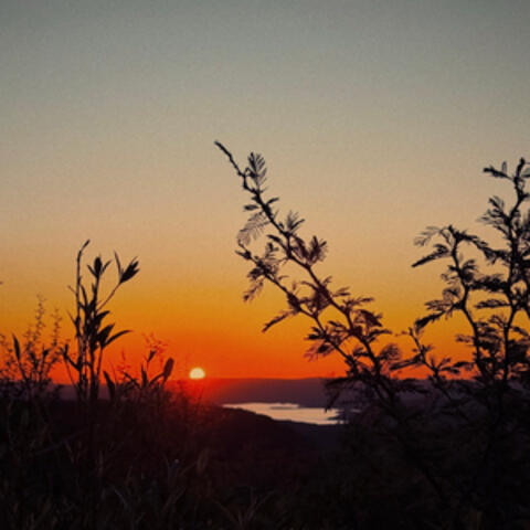 Dónde el sol album art