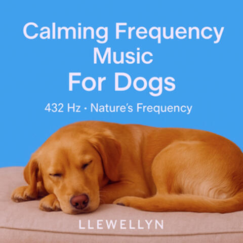 Calming Frequency Music For Dogs - 432 Hz Nature's Frequency album art