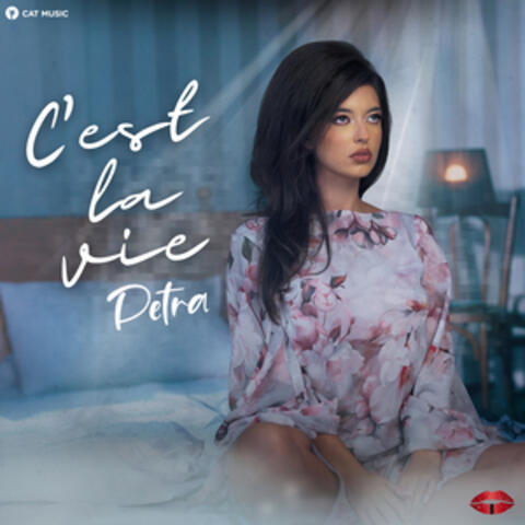 C'est la vie album art