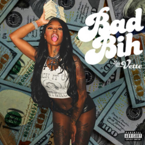 Bad Bih album art