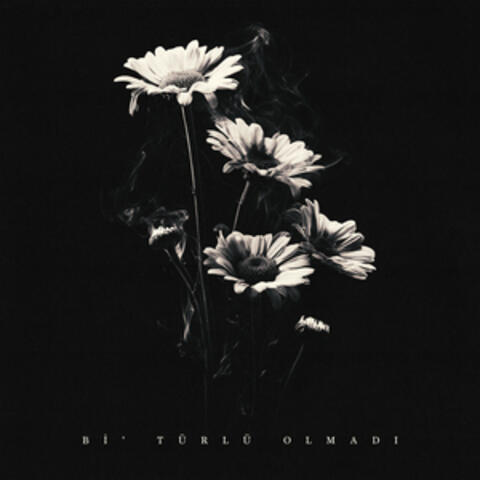 Bi’ türlü olmadı album art